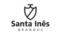 Santa Inês