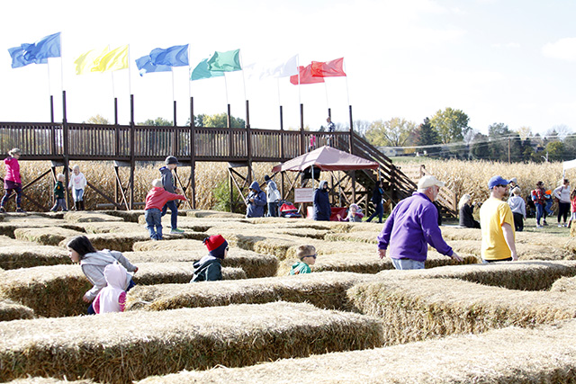 cornmaze23