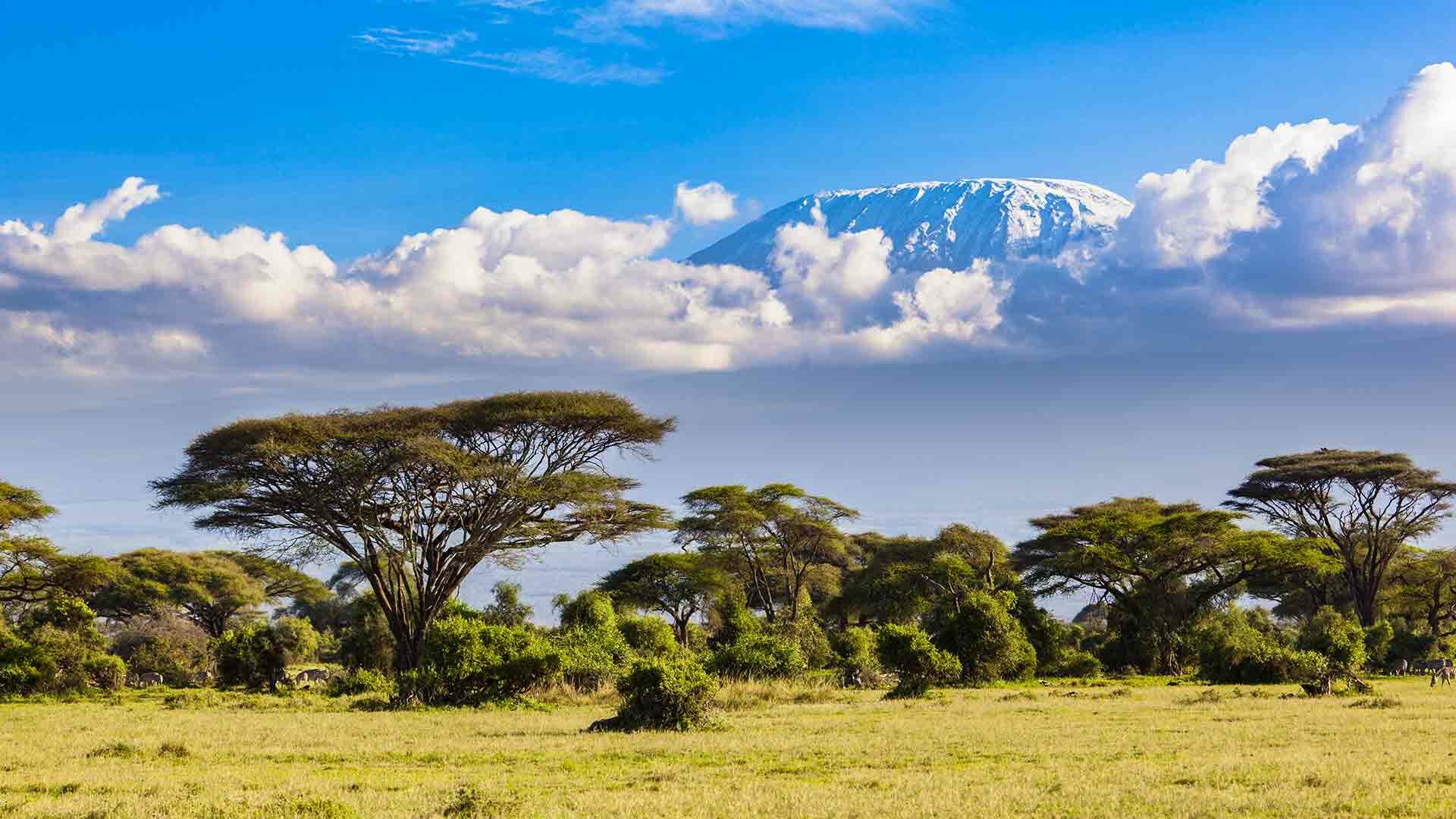 Top 10 Reasons to Climb Kilimanjaro