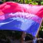 Bisexual Organizing Project