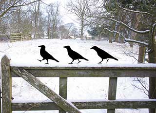 Crow Garden Lawn Ornaments, Metal Ravens for Bird Lovers