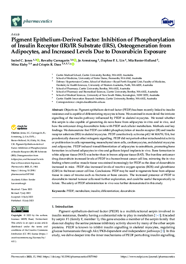 First page of “Pigment Epithelium-Derived Factor: Inhibition of Phosphorylation of Insulin Receptor (IR)/IR Substrate (IRS), Osteogeneration from Adipocytes, and Increased Levels Due to Doxorubicin Exposure”