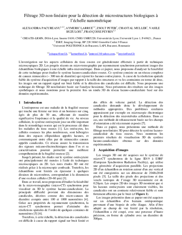 First page of “Filtrage 3D non-linéaire pour la détection de microstructures biologiques à l'échelle nanométrique”