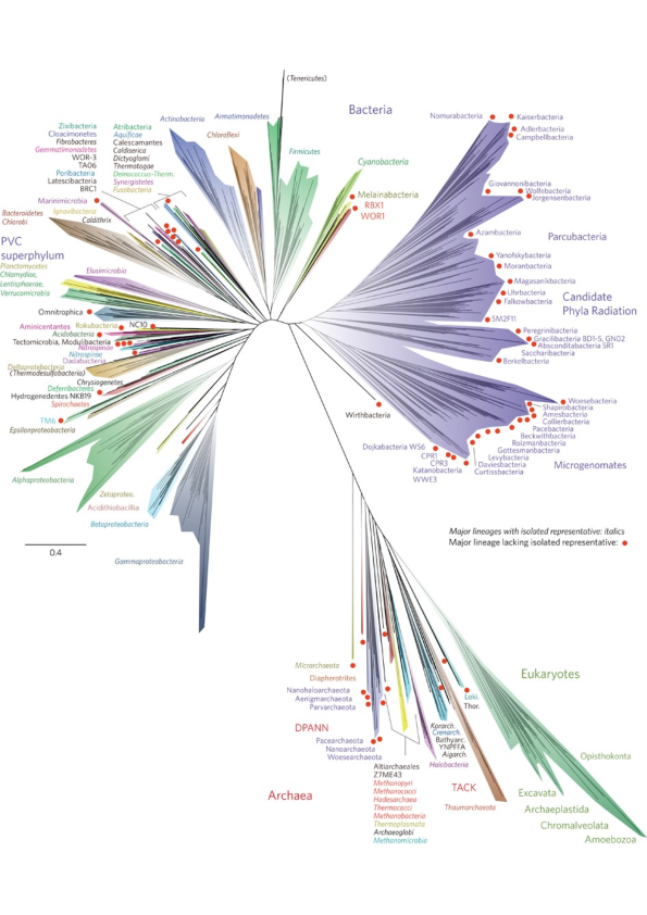 First page of “The Tree of Life. With Darwin from Genesis to Genomics”