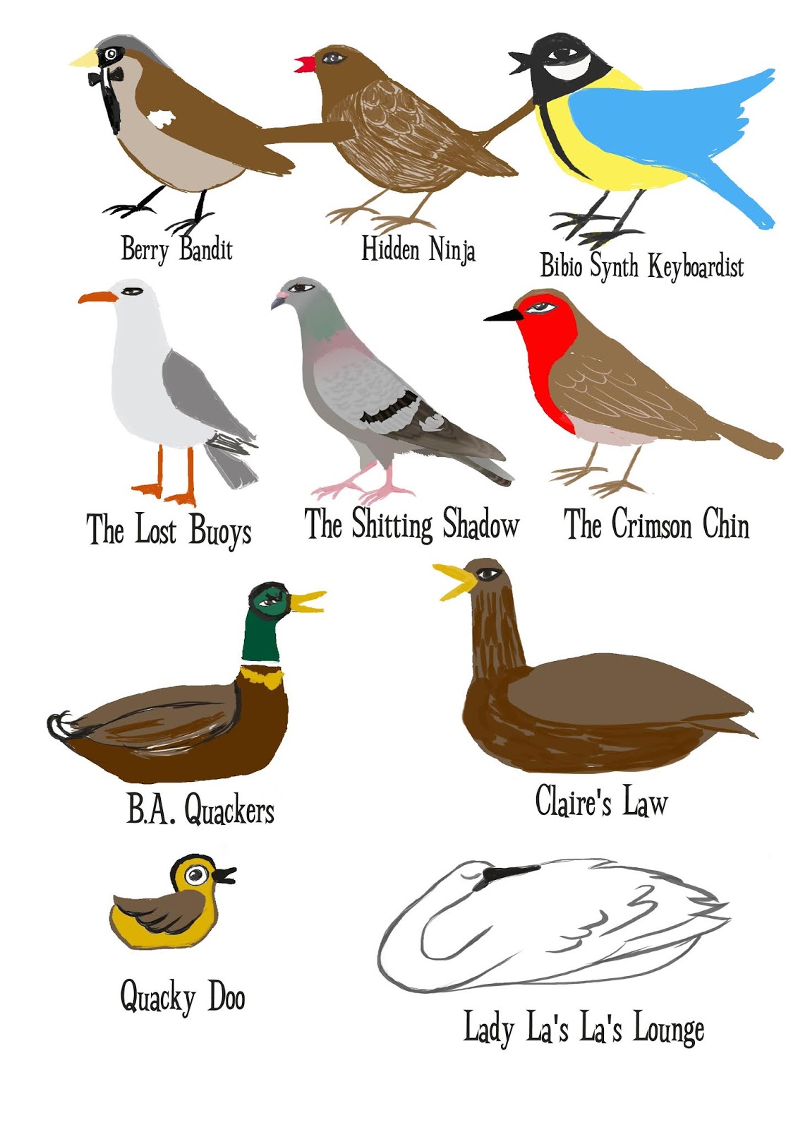 Bird Life Span Chart