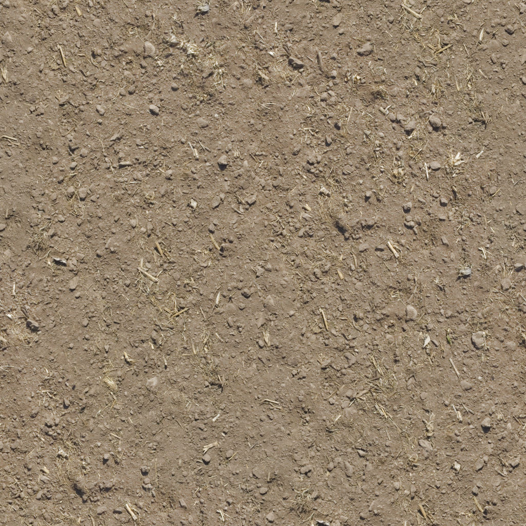 Seamless Soil Texture