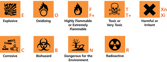 Science E-Portfolio: Term 1 topics