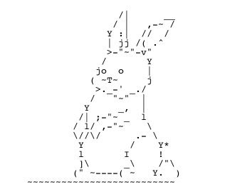 Leap Into the Void: How to Draw a Bunny