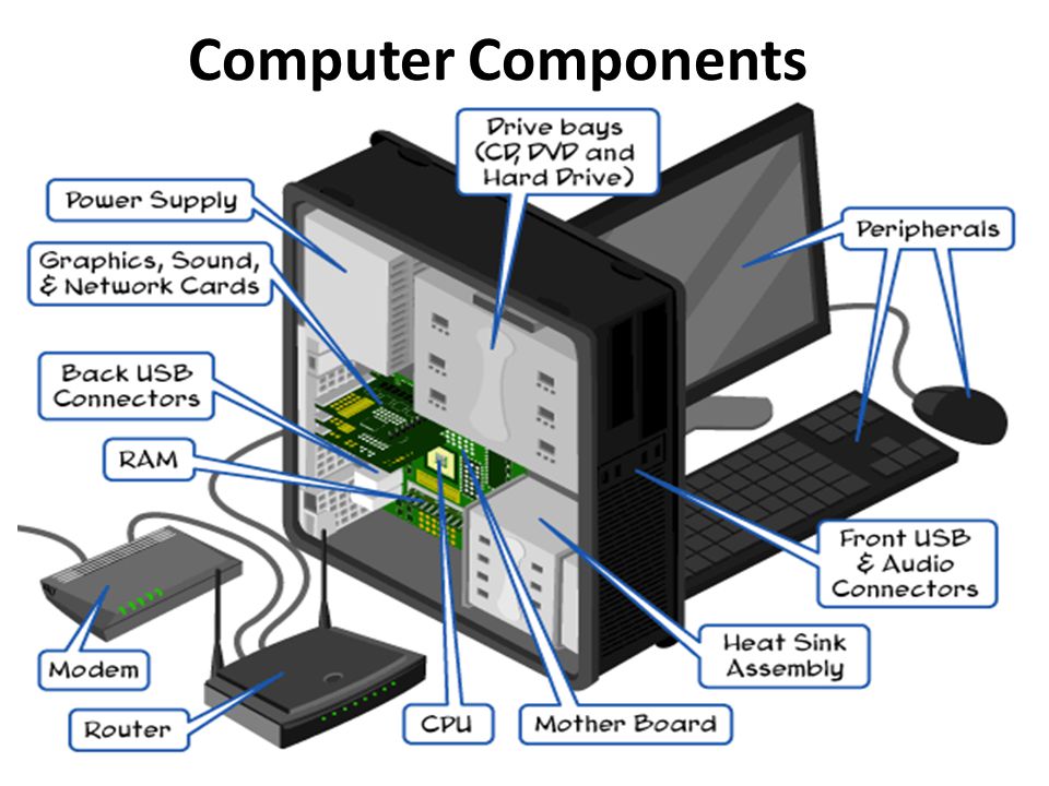 Computer Parts And Hardware Diagram