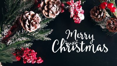 Merry Christmas, Decoration, Xmas background, Fruits, Frozen, 5K, Preppy Christmas, Navidad, Noel