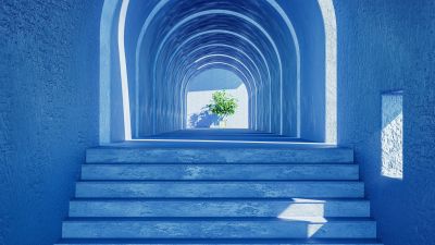 Aesthetic interior, Plant, Blue, 5K