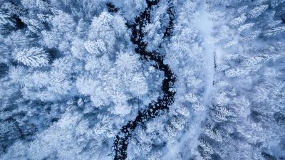 Winter forest, Aerial view, Snow covered, Water Stream, White aesthetic, Cold