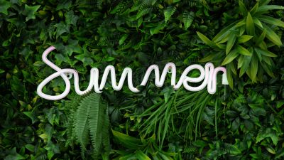 Summer, Neon sign, Green aesthetic, Plants, Ferns, 5K