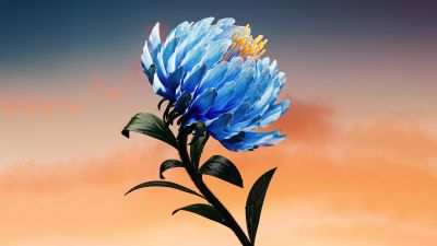 Blue flower, Digital Art, Blossom, 5K, 8K, Digital flower