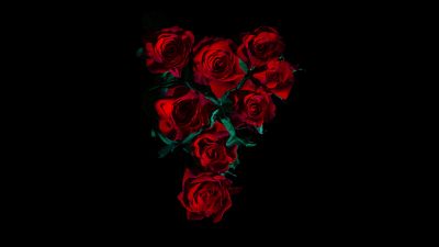 Red Roses, Flower bouquet, Black background, 5K, 8K, Dark red