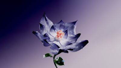 Lotus flower, Digital Art, Purple Flower, Water Lily, Digital flower, 5K, Purple background, Purple aesthetic