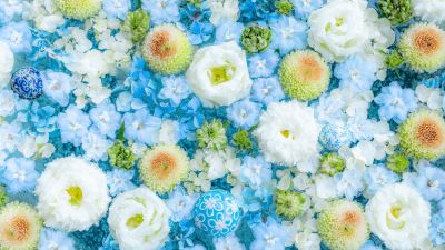 Blue flowers, Bouquet, Blue aesthetic