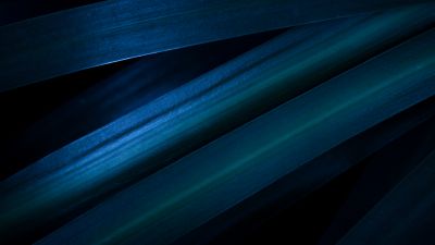 Leaves, Blue aesthetic, Pattern, Macro, Dark aesthetic, 5K, Closeup Photography