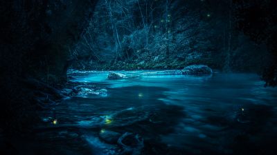 Forest, River, Night, Dark, Magical, Crescent Moon, Blue, Fairies