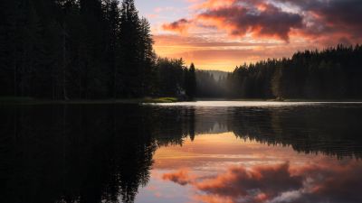 Serene, Lake, Sunset, Forest, Trees, Reflection, Clouds, Body of Water, Scenic, Peaceful, Calm, Tranquil, Quiet, 5K, 8K