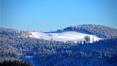 Winter forest, Snow, Trees, Hill, Sky view, Clear sky, Blue Sky