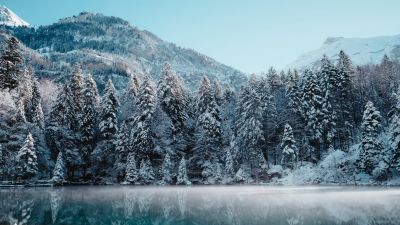 Snow mountains, Glacier, Frozen, Mist, Lake, Reflection, Snow covered, Trees, Winter forest, 5K