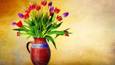 Flower vase, Tulip flowers, Multicolor, Colorful, Green leaves, Bouquet, Decoration