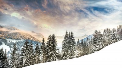 Mount Eggli, Swiss Alps, Mountain range, Snow covered, Winter, Snowy Trees, Alpine trees, Foggy, Cloudy Sky, Landscape, Scenery