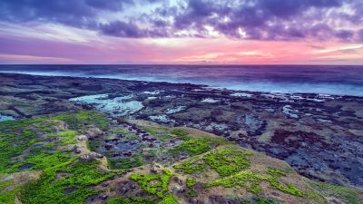 Rocky coast, Seascape, Green Moss, Sunset, Purple sky, Horizon, Ocean, Cloudy, Landscape