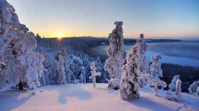 Konttainen fell, Finland, Hill, Winter, Snowy Trees, Snow covered, Sunrise, Horizon, Landscape