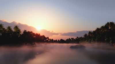 Sunrise, Palm trees, Mist, Foggy, Tropical, Body of Water, Landscape, Clouds, Scenery