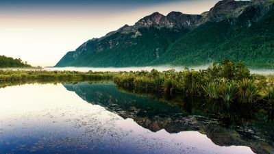 Mirror Lakes, New Zealand, Fog, Mountain, Reflection, Landscape, Scenery, Greenery