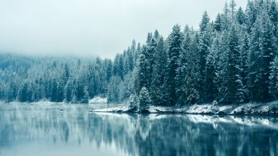 Kootenay River, Snowfall, British Columbia, Canada, Forest, Winter, Snowy Trees, Mirror Lake, Reflection, Landscape, Misty, Early Morning