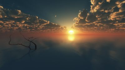 Sunset, Cloudy Sky, Horizon, Body of Water, Reflection, Seascape, Tree Branch, Digital render, Ocean