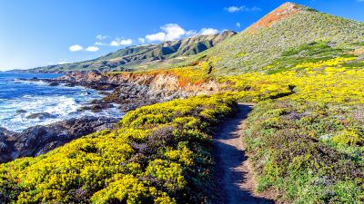 Big Sur, Coastline, California, Pacific Coast Highway, Rocky coast, Plateau, Blue Sky, Clear sky, Landscape, Ocean Waves, Seascape, Pathway