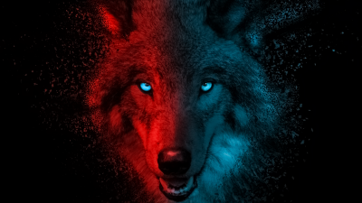 Wolf, Scary, Dark background, Dark aesthetic