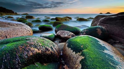 Porth Nanven, Cot Valley, Rocky coast, Beach, Green Moss, Seascape, Long exposure, Horizon, Cloudy Sky, Evening, Landscape, 5K