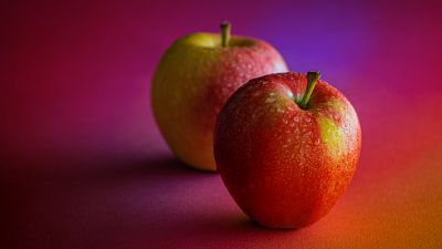 Red Apples, Dew Drops, Water drops, Pair, Fruits, Healthy, Gradient background, 5K