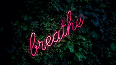 Breathe, Neon sign, Green background, Green leaves, Pink, Girly backgrounds