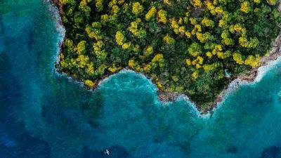 Fantasy Island, Aerial view, Forest, Ocean, 2020, 5K