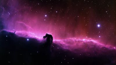 Horsehead Nebula, Constellation, Astronomy, NASA, Hubble Space Telescope