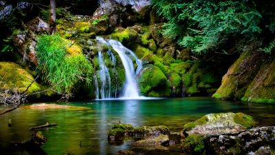 Tropical forest, Waterfall, Green, Landscape, France