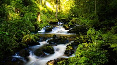 Black Forest, Tropical forest, Waterfall, Long exposure, Landscape, Stream, Green, Scenic