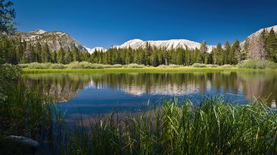 Lake, Scenery, Mountains, Forest, Sunny day, Summer, Reflections, Body of Water, Landscape, Blue Sky