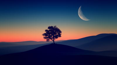 Solitude Tree, Crescent Moon, Silhouette, Sunset, Dusk, Landscape, Scenic, Clear sky