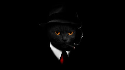 Black Cat, Black background, Hat, Suit, Cigar, Scary