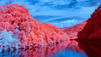 Scenery, Lake, Blue Sky, Forest, Reflection, Scenic, Clouds