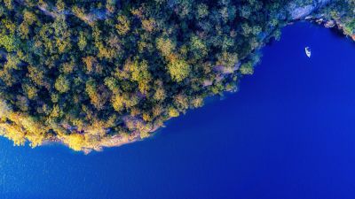 Coast, Island, Green Trees, Aerial view, Blue Ocean, Birds eye view, Landscape