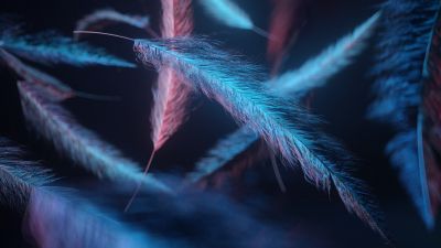 Feathers, Macro, Dark background, Blue light, Digital illustration, Dark aesthetic