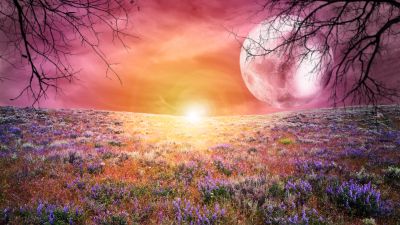 Sunrise, Landscape, Scenic, Surreal, Moon, Spring, Pink sky